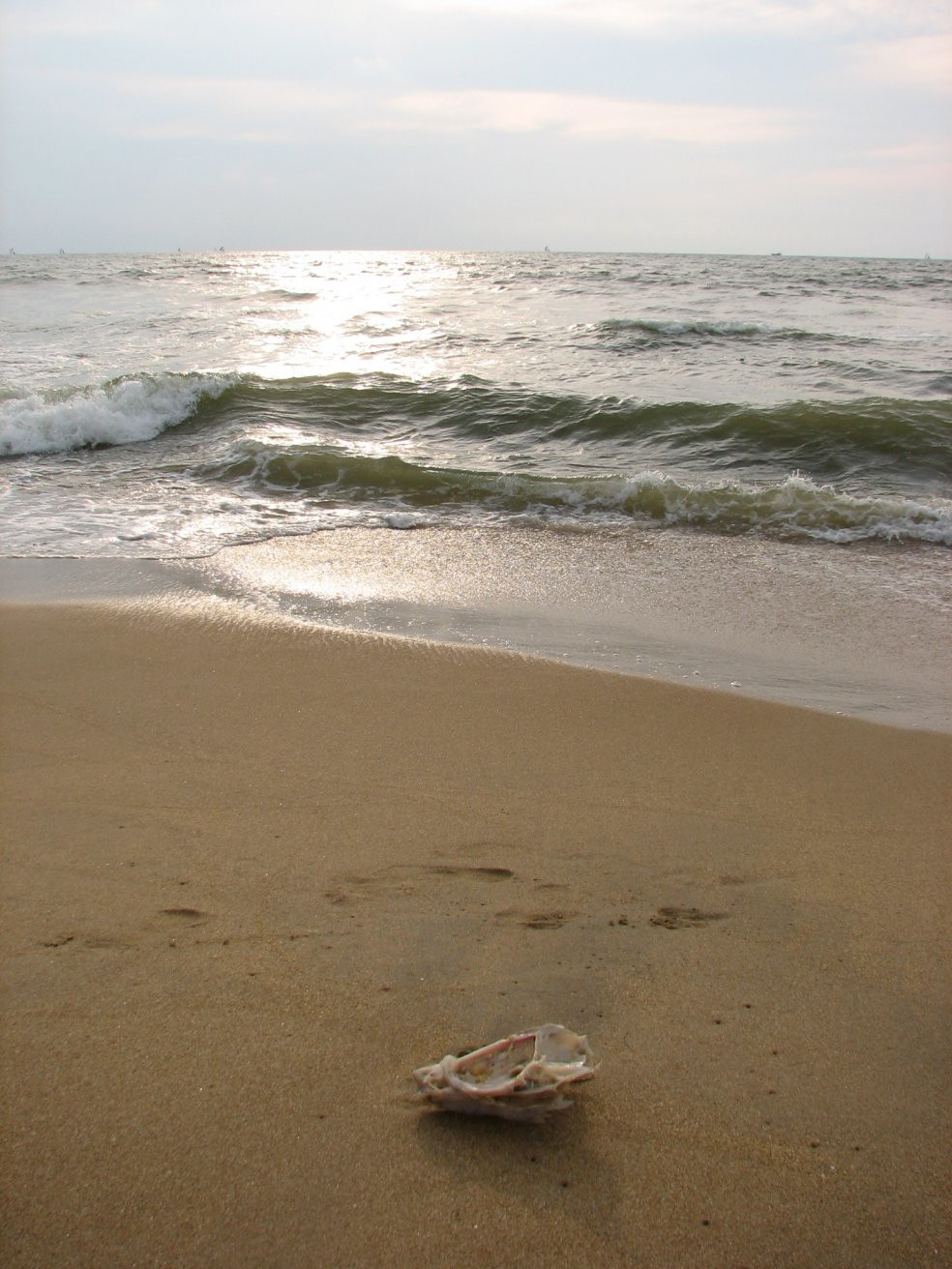 Негомбо, Шри-Ланка, фото № 51948 – фотографии Шри-Ланки