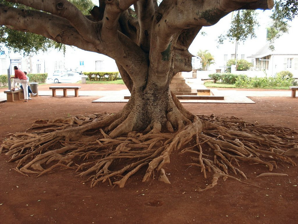 Сен-Дени, Реюньон, фото № 25965 – фотографии Реюньона