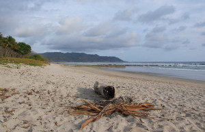 Плайя Санта Тереса, Пунтаренас провинция, Коста-Рика, фото № 40957 – фотографии Коста-Рики