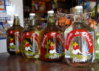 Мескаль в Оахака, Мексика – фотографии Мексики