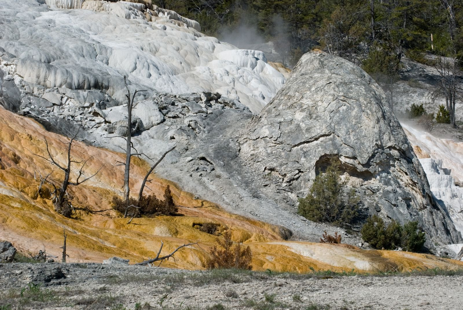 Йеллоустоун Национальный Парк, Вайоминг штат, США, фото № 67730 – фотографии США