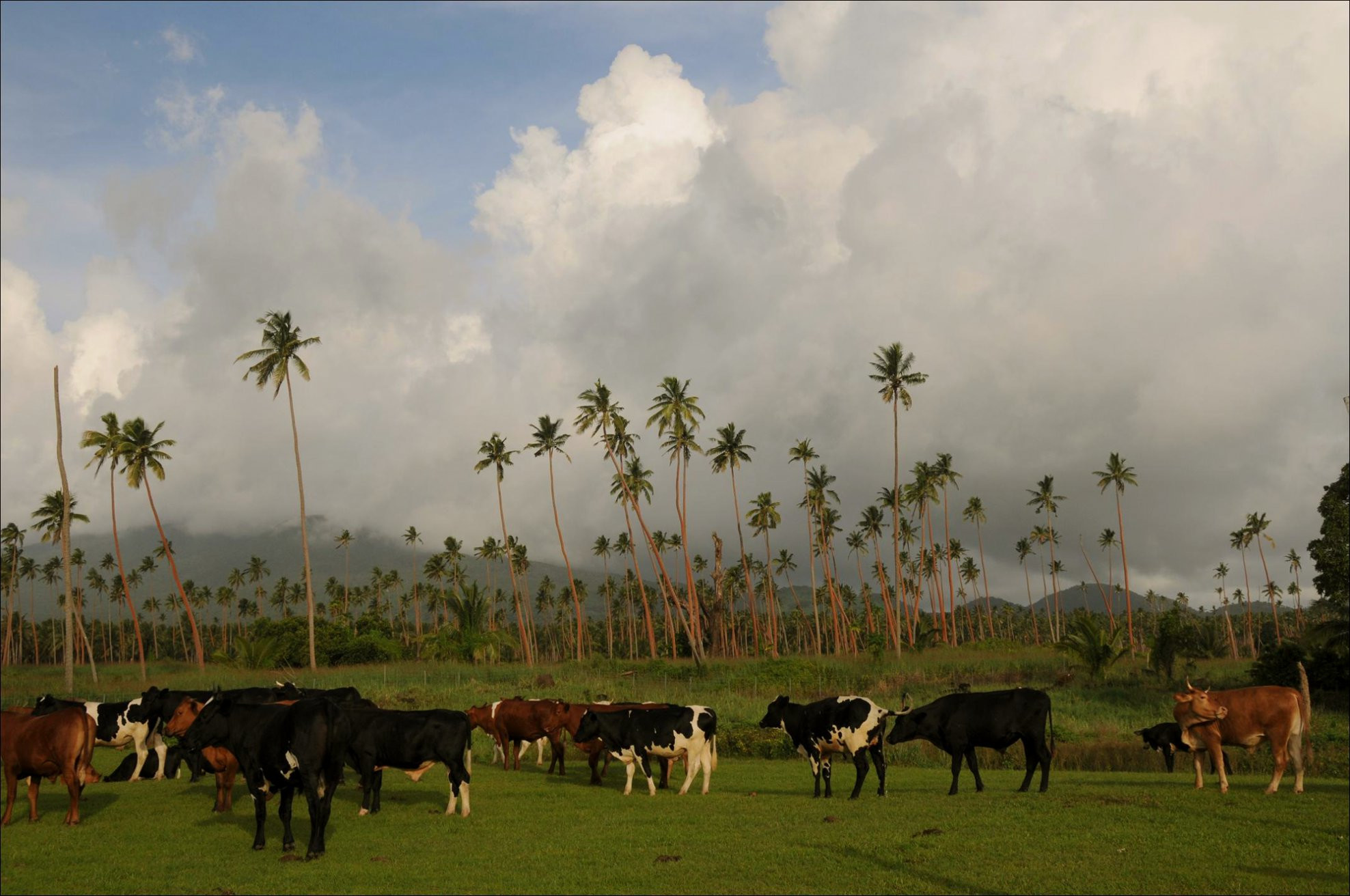 Вануа Леву группа островов, Фиджи, фото № 49370 – фотографии Фиджи