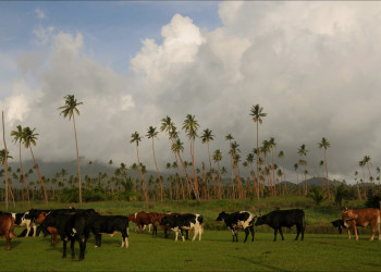Вануа Леву группа островов, Фиджи, фото № 49370 – фотографии Фиджи