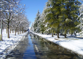 Ифран, Марокко, фото № 7506 – фотографии Марокко