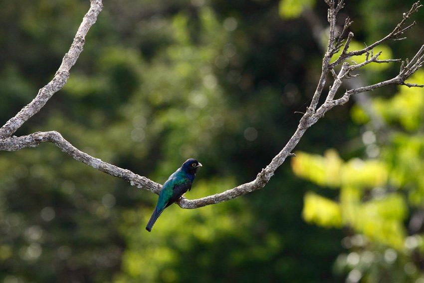 Французская Гвиана, фото № 2132 – фотографии Французской Гвианы