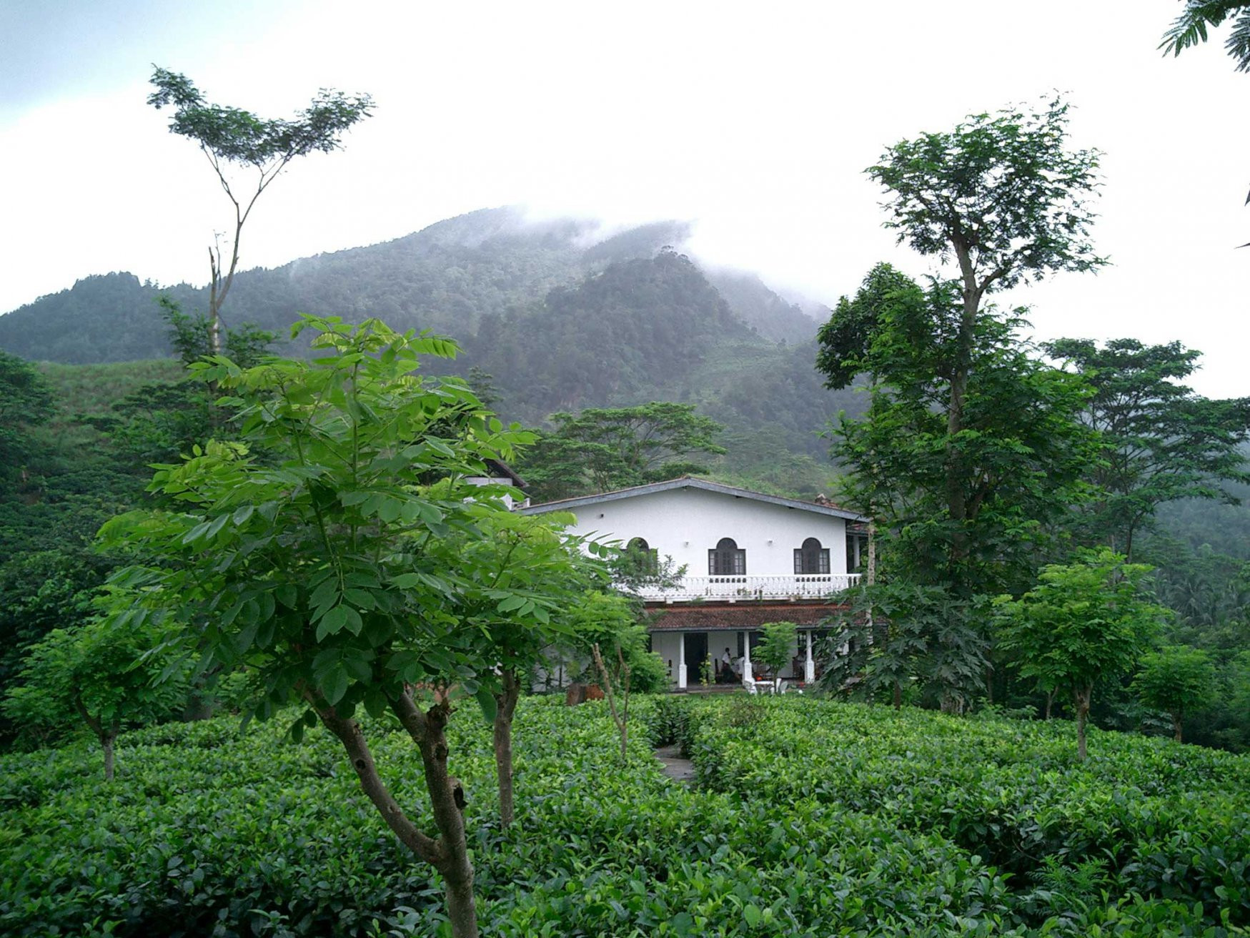 Нувара Элия, Шри-Ланка, фото № 52029 – фотографии Шри-Ланки