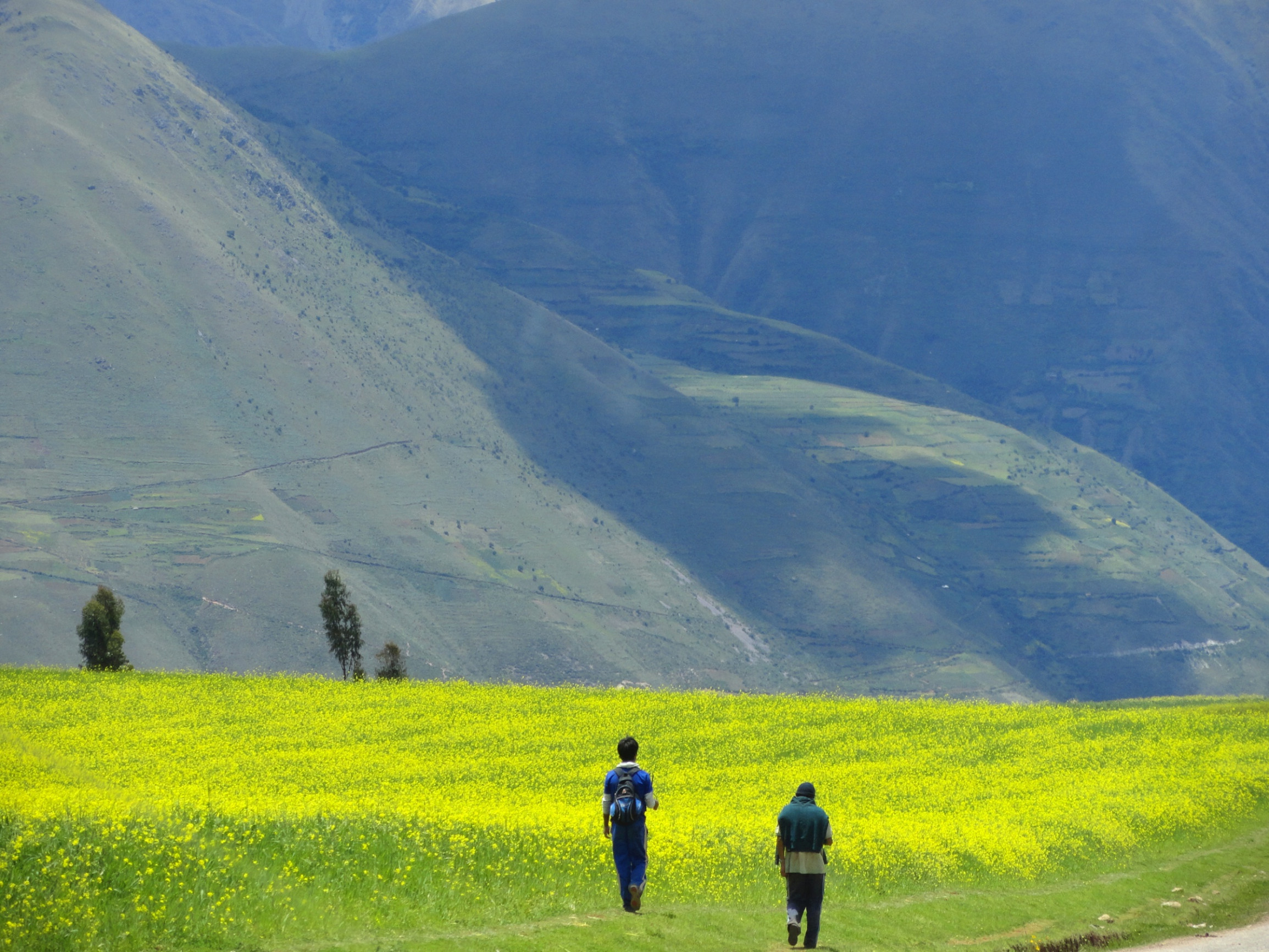 Морай (Moray) – фотографии Перу