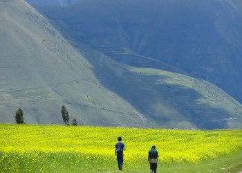 Морай (Moray) – фотографии Перу