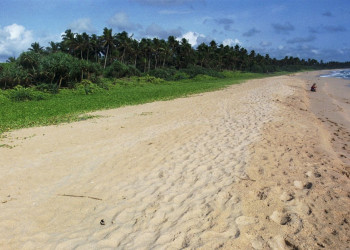 Ахунгалла, Шри-Ланка, фото № 50543 – фотографии Шри-Ланки