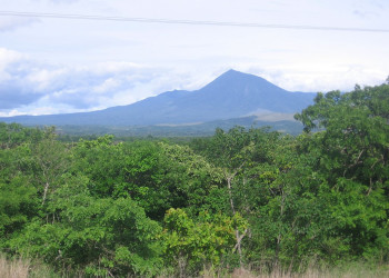 Ринкон де ла Виеха Национальный Парк, Гуанакасте провинция, Коста-Рика, фото № 39269 – фотографии Коста-Рики