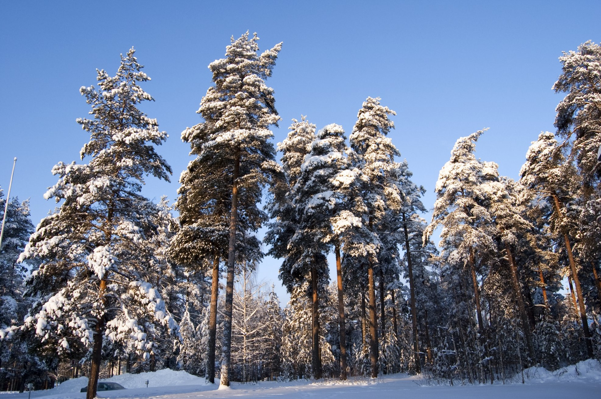 Миккели, Финляндия, фото № 74703 – фотографии Финляндии
