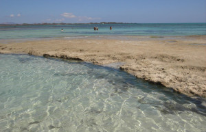 Корралехо, Фуэртевентура остров, Канарские острова, фото № 34160 – фотографии Канарских островов