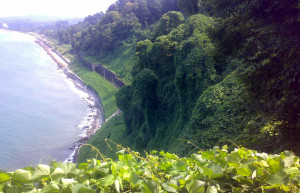 Зелёный Мыс, Грузия, фото № 73456 – фотографии Грузии