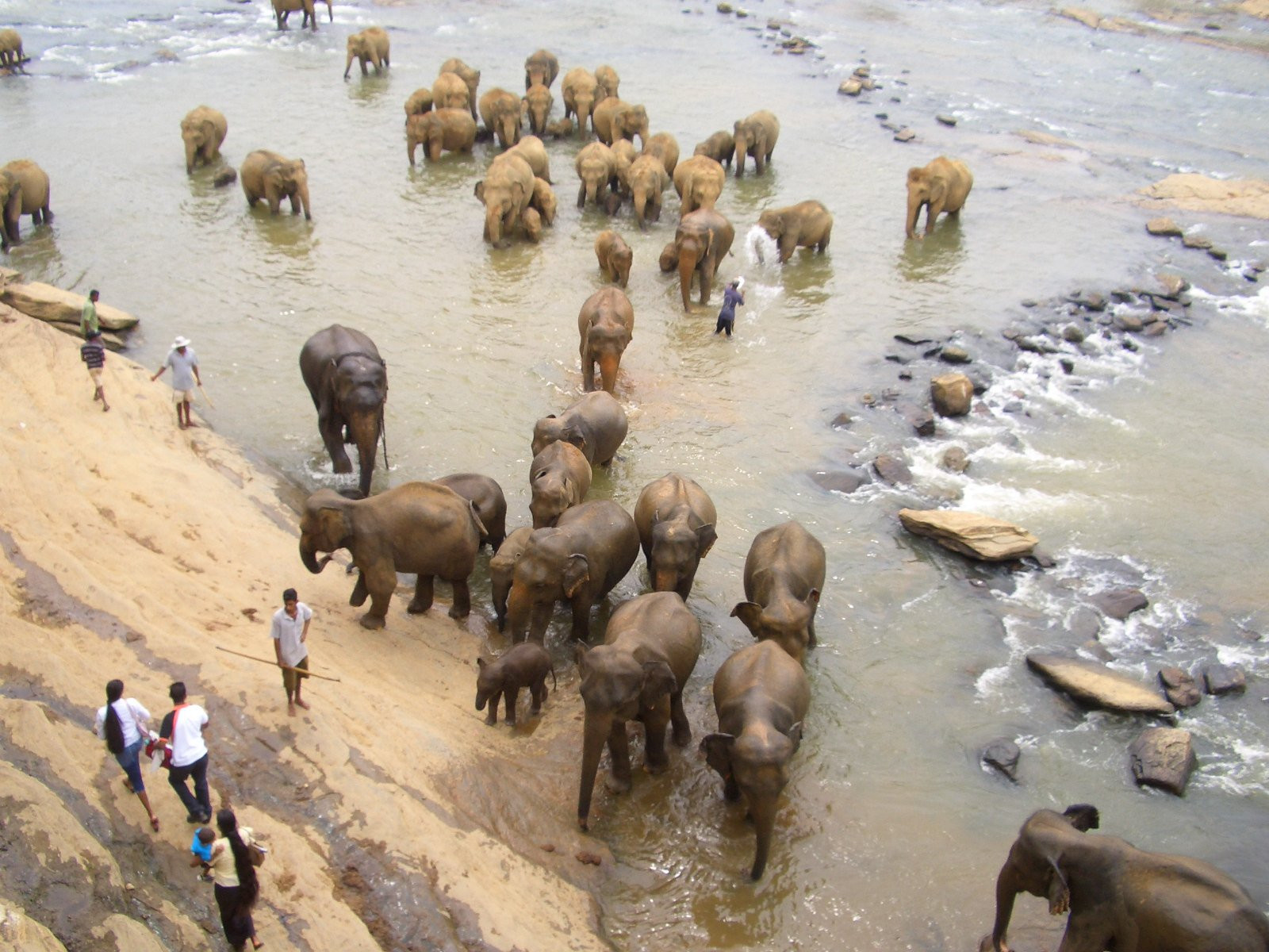 Канди, Шри-Ланка, фото № 51396 – фотографии Шри-Ланки