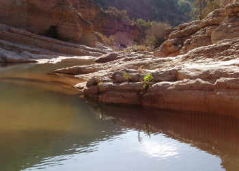 Тарудант, Марокко, фото № 8085 – фотографии Марокко