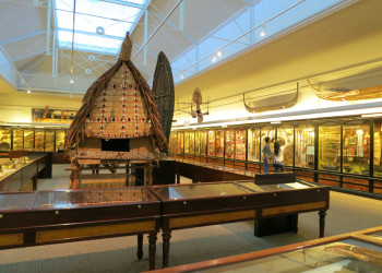 Музей Южной Австралии (South Australian museum), Аделаида, фото 7 – фотографии Австралии