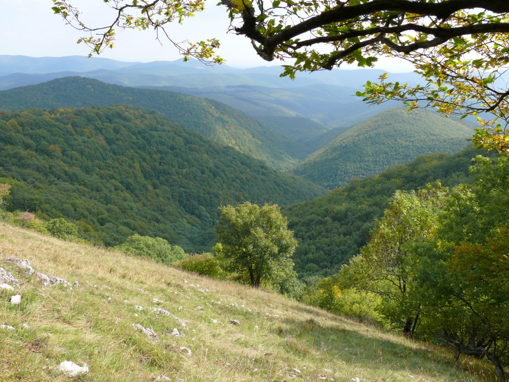 Бюкк Национальный Парк, Венгрия, фото № 70070 – фотографии Венгрии