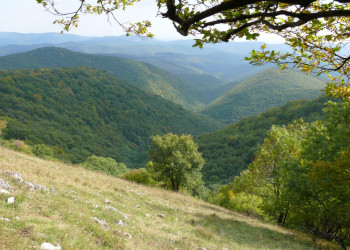 Бюкк Национальный Парк, Венгрия, фото № 70070 – фотографии Венгрии