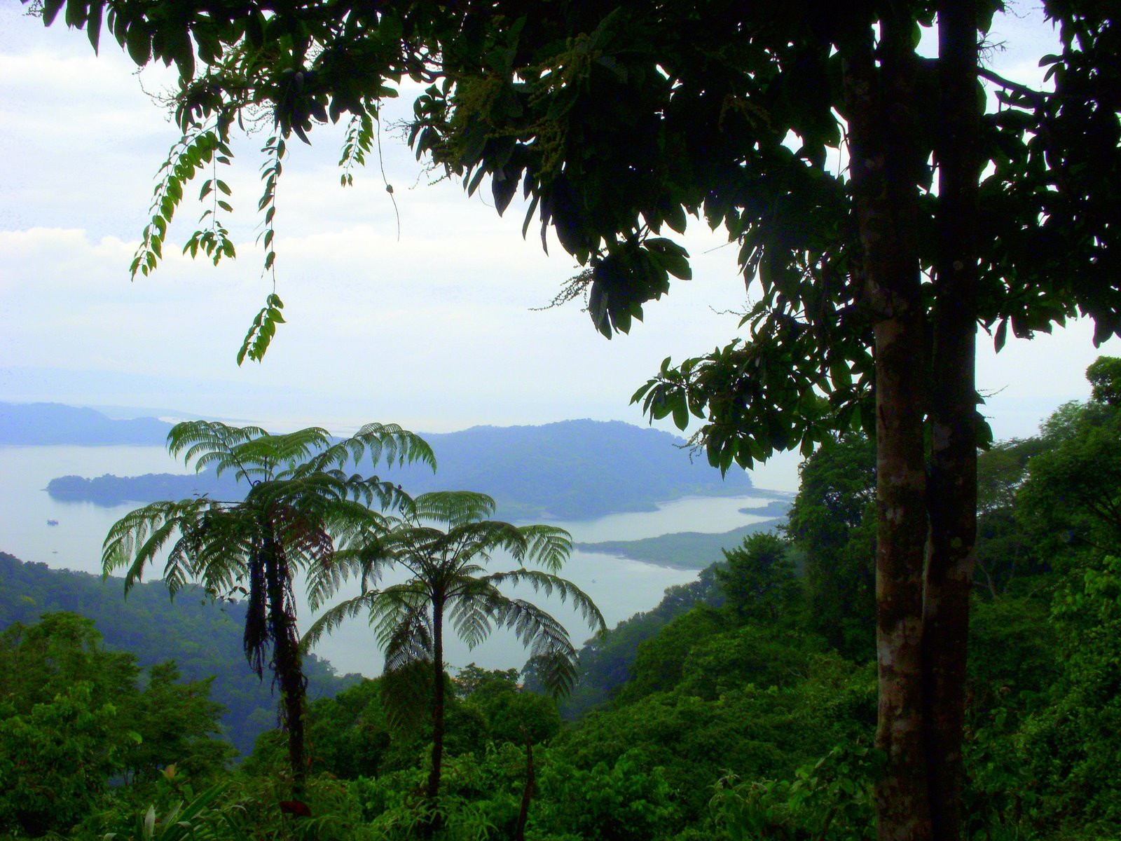 Гольфито, Пунтаренас провинция, Коста-Рика, фото № 40407 – фотографии Коста-Рики