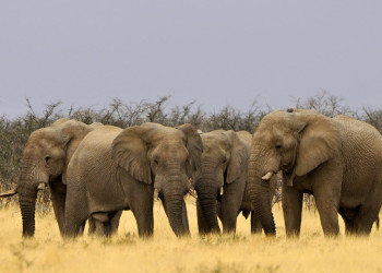 Namibia – фотографии Намибии