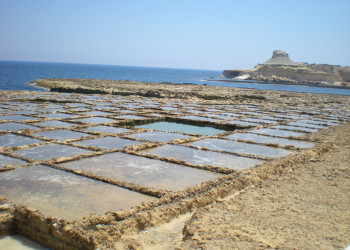 Швини-Бэй, Гозо остров, Мальта, фото № 41677 – фотографии Мальты