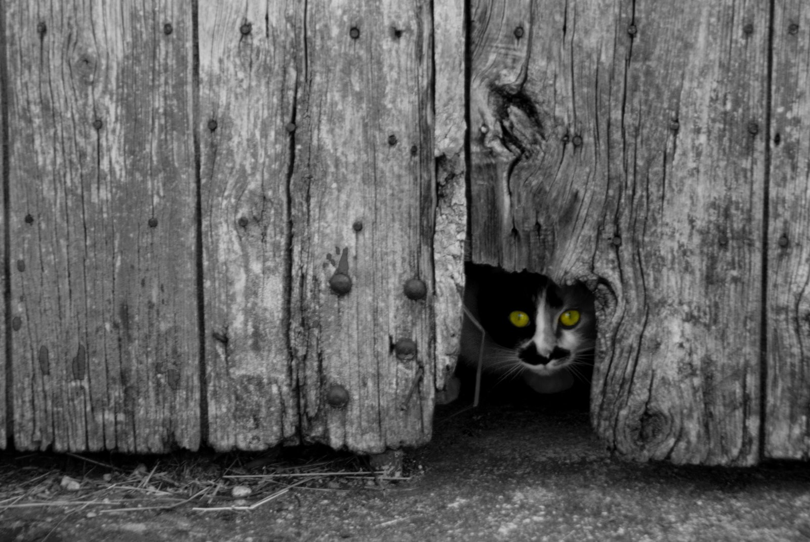 Франция. Фото 126 – фотографии Франции