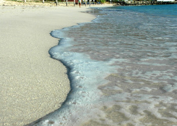 Сен-Бартелеми, фото № 1377 – фотографии Сен-Бартелеми