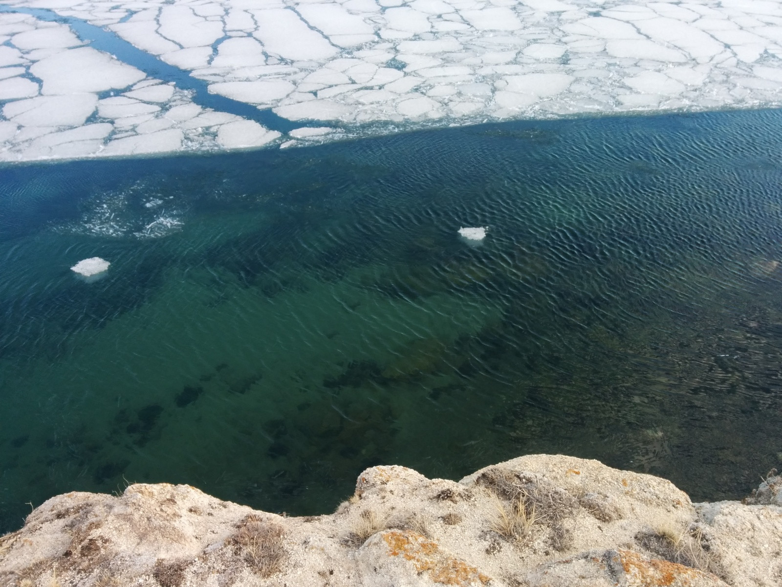 Майскиё лёд, Курма на Малом море – фотографии России