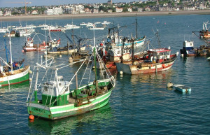 Яхты и катера в Эрки, Франция. Фото 1 – фотографии Франции