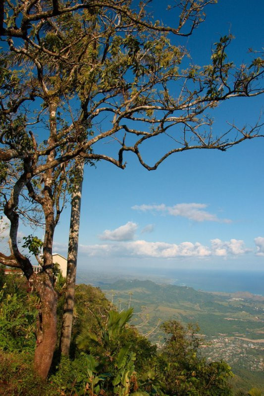 Пуэрто-Плата, Доминикана, фото № 30451 – фотографии Доминиканы