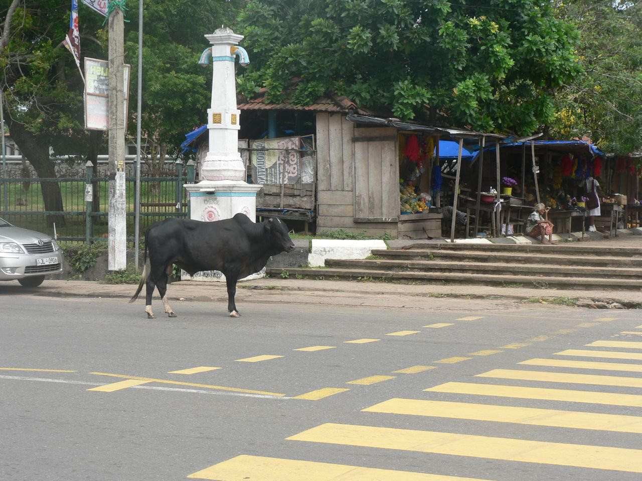 Тангалле, Шри-Ланка, фото № 52351 – фотографии Шри-Ланки