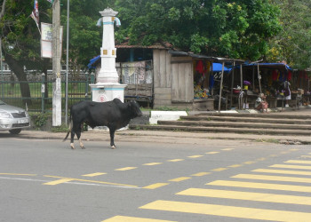 Тангалле, Шри-Ланка, фото № 52351 – фотографии Шри-Ланки