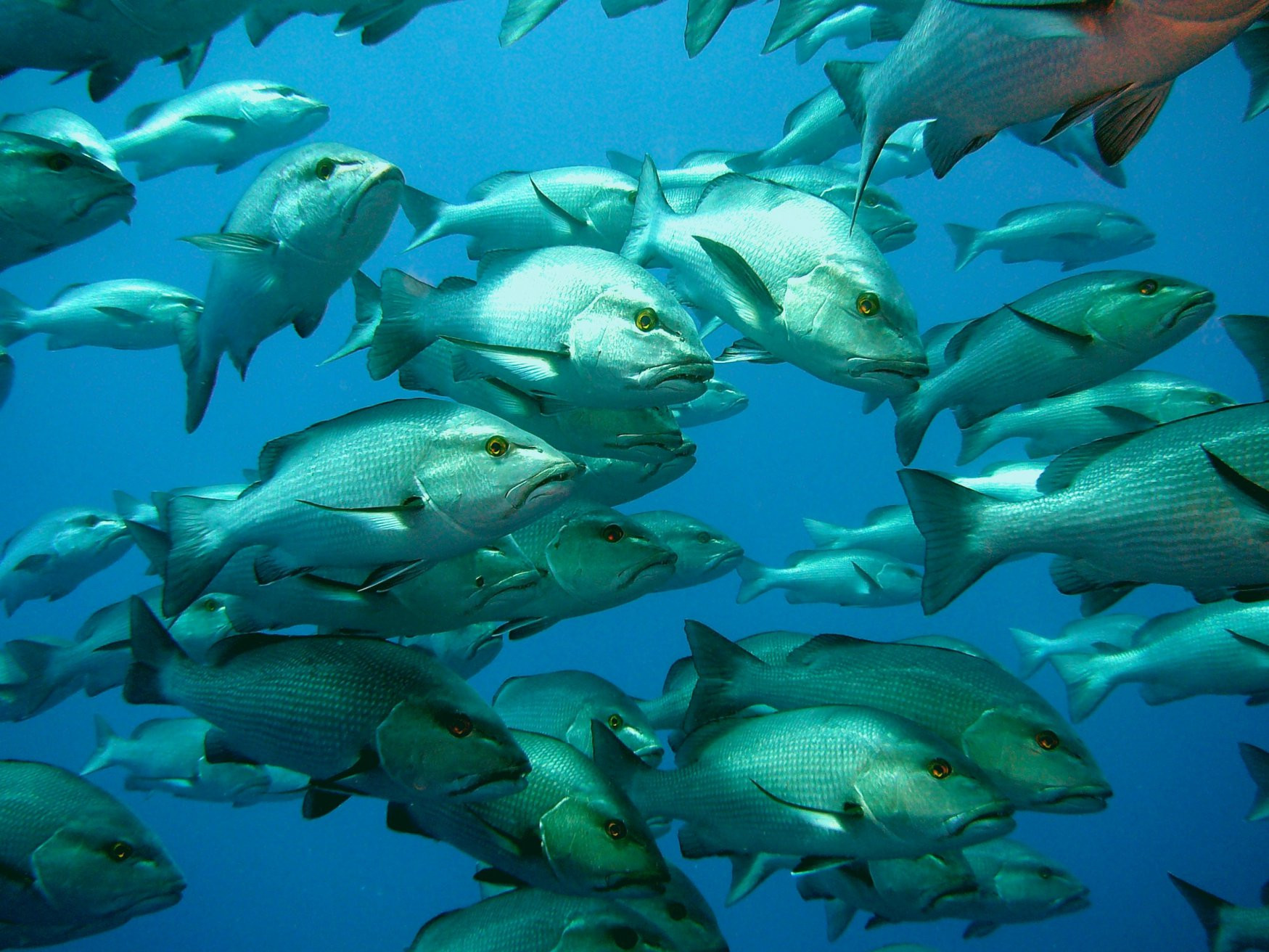 Шарм-эль-Шейх, Египет, фото № 35696 – фотографии Египта