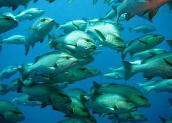 Шарм-эль-Шейх, Египет, фото № 35696 – фотографии Египта