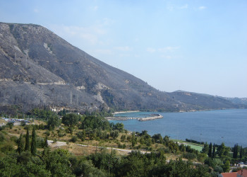 Берега в Плат, Хорватия. Фото 1 – фотографии Хорватии