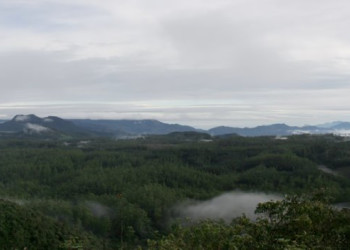 Нувара Элия, Шри-Ланка, фото № 52046 – фотографии Шри-Ланки