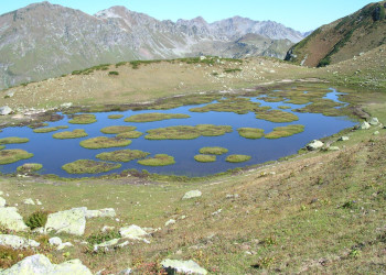 Гудаутский район. Урочище Агура, Абхазия – фотографии Абхазии