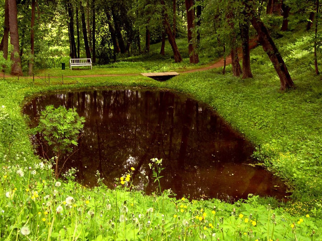 Парк в Пушкинские Горы, Россия – фотографии России
