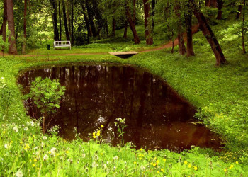 Парк в Пушкинские Горы, Россия – фотографии России