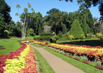 Ботанический сад в Канди, Шри-Ланка. Фото 3 – фотографии Шри-Ланки