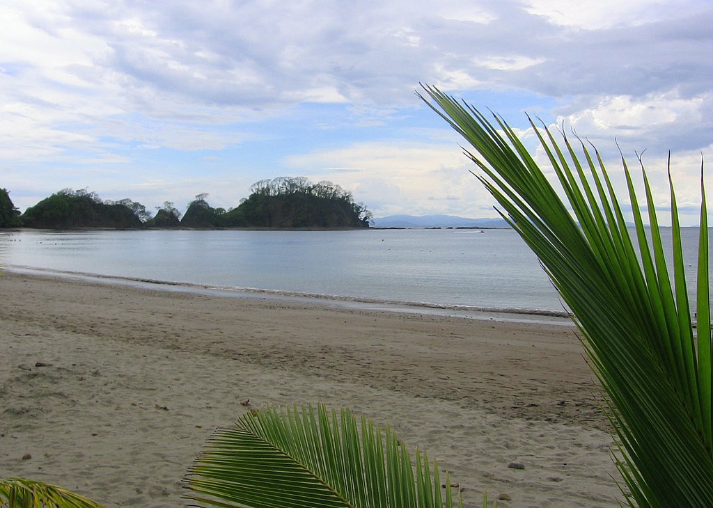 Пунта Леона, Пунтаренас провинция, Коста-Рика, фото № 41021 – фотографии Коста-Рики