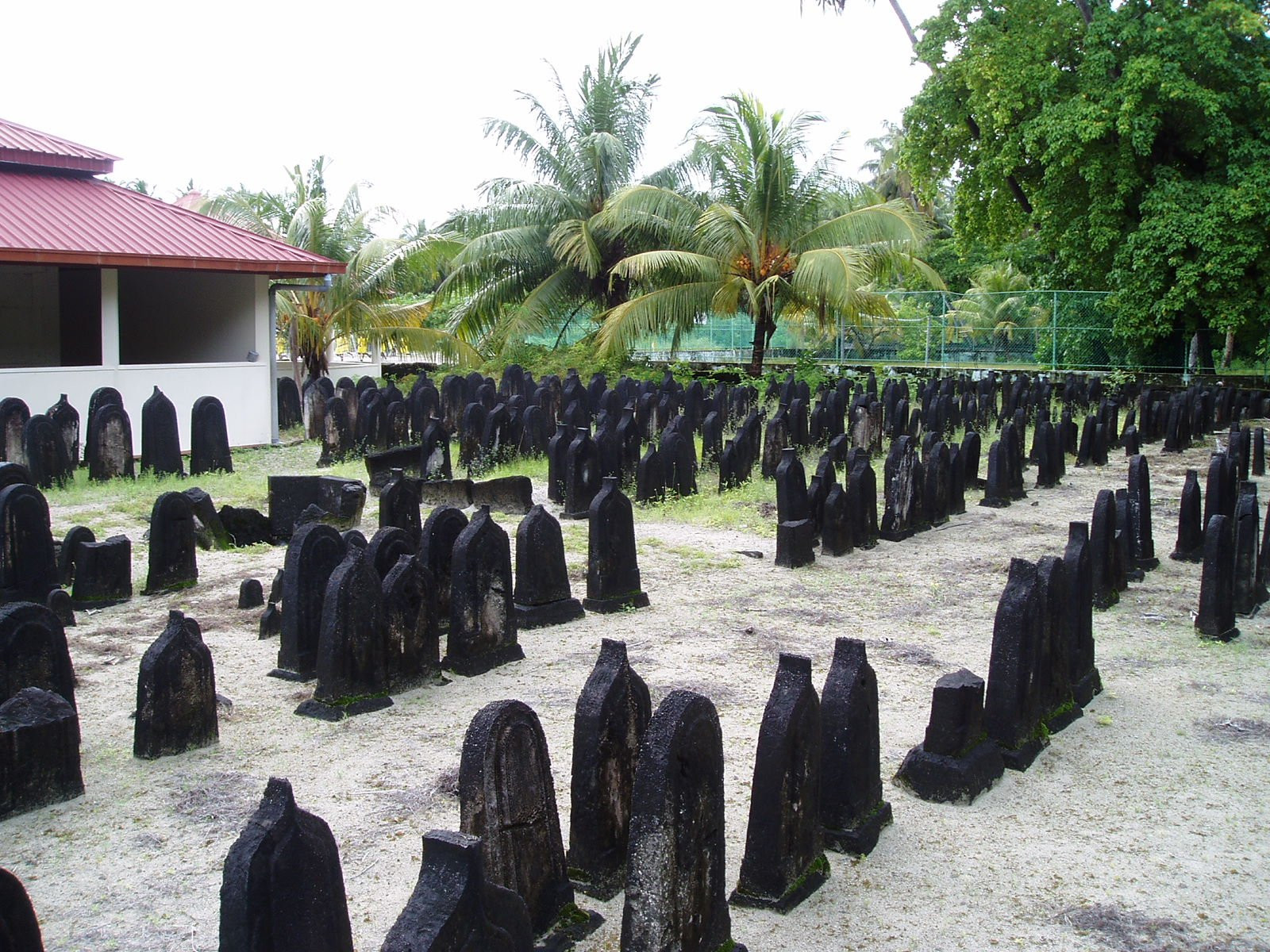 Кладбище в Ари Атолле, Мальдивы – фотографии Мальдивских островов