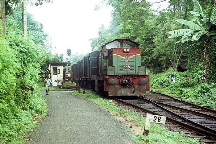 Калутара, Шри-Ланка, фото № 51228 – фотографии Шри-Ланки