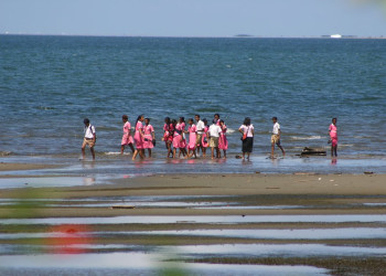 Сува, Вити Леву остров, Вити Леву группа островов, Фиджи, фото № 49643 – фотографии Фиджи