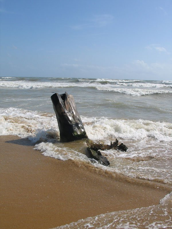 Маунт Лавиния, Шри-Ланка, фото № 51794 – фотографии Шри-Ланки