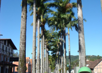 Блуменау, Бразилия. Фото 4 – фотографии Бразилии