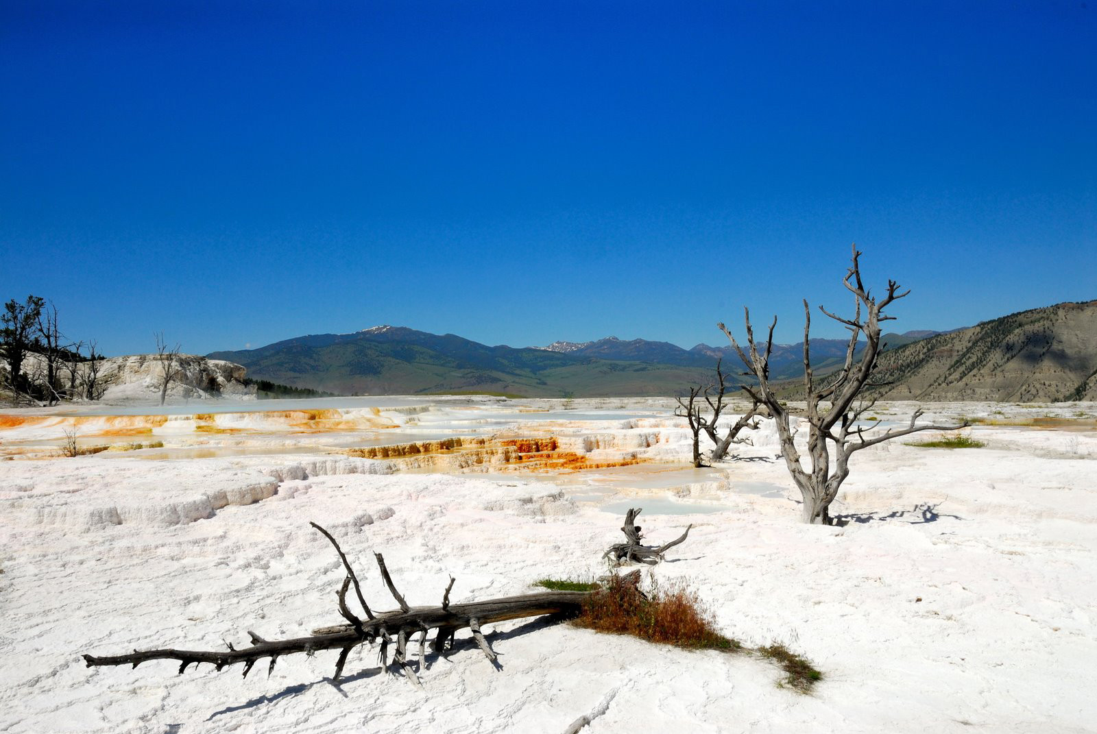 Национальный парк Йеллоустон – фотографии США
