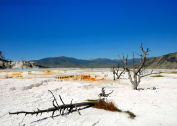 Национальный парк Йеллоустон – фотографии США