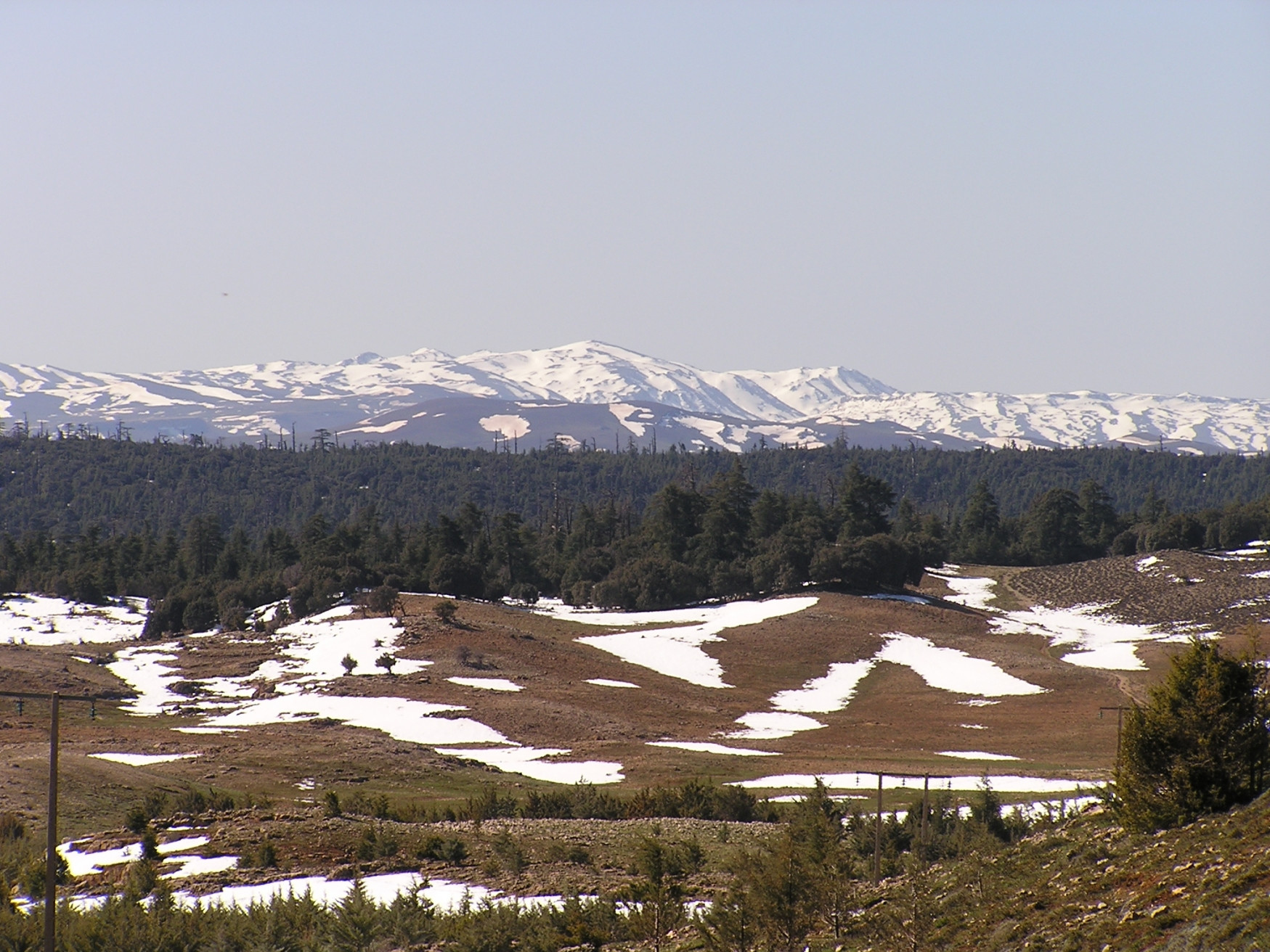 Ифран, Марокко, фото № 7519 – фотографии Марокко
