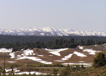 Ифран, Марокко, фото № 7519 – фотографии Марокко